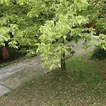 Mila Balaton Balatonfůzfő