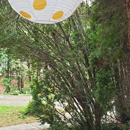 Mila Balaton * Balatonfůzfő