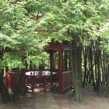 Mila Balaton * Balatonfůzfő