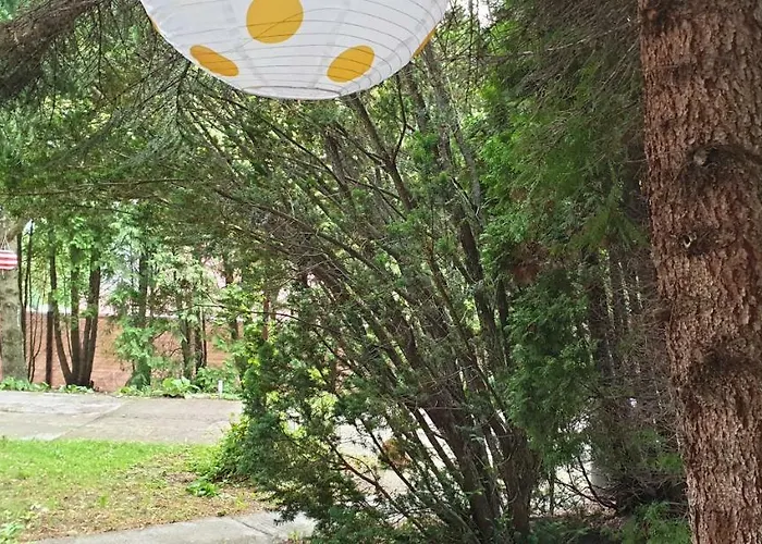 Mila Balaton * Balatonfůzfő