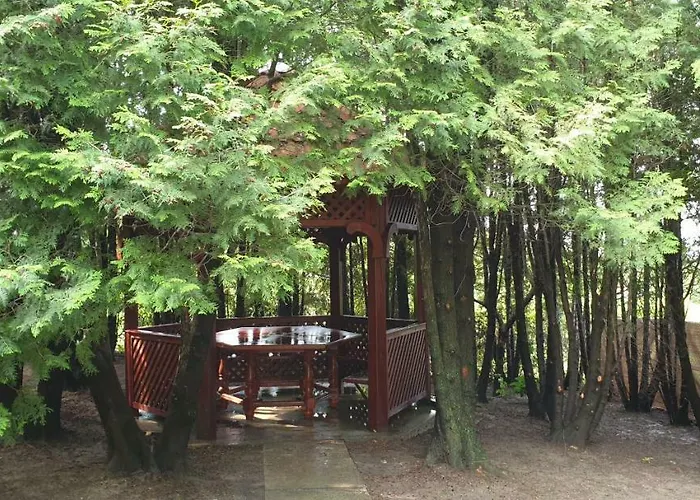 Mila Balaton * Balatonfůzfő